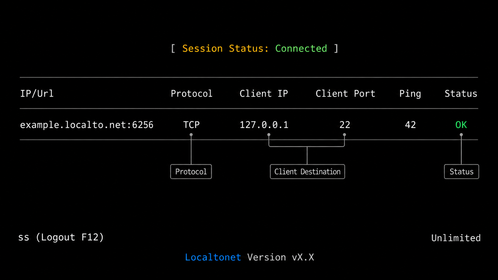 Localtonet console showing a connected TCP tunnel to Raspberry Pi SSH on port 22.