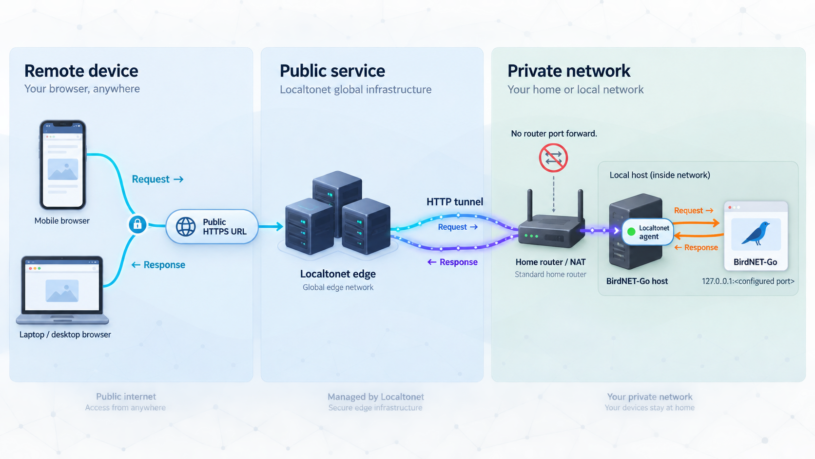 Remote browsers reaching a private BirdNET-Go service through a Localtonet HTTP tunnel.