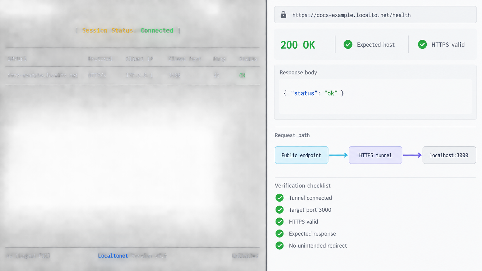 Connected Localtonet HTTP tunnel beside a successful HTTPS verification response.