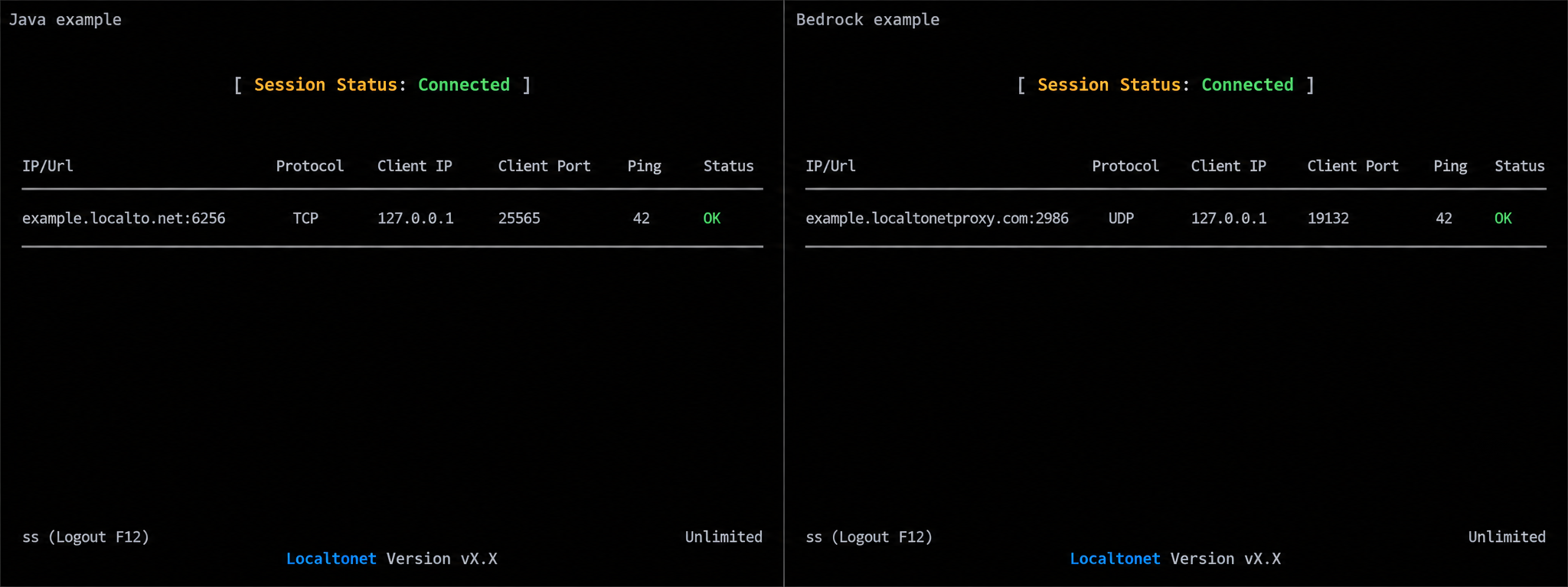 Connected Localtonet console examples mapping Java TCP and Bedrock UDP server ports.