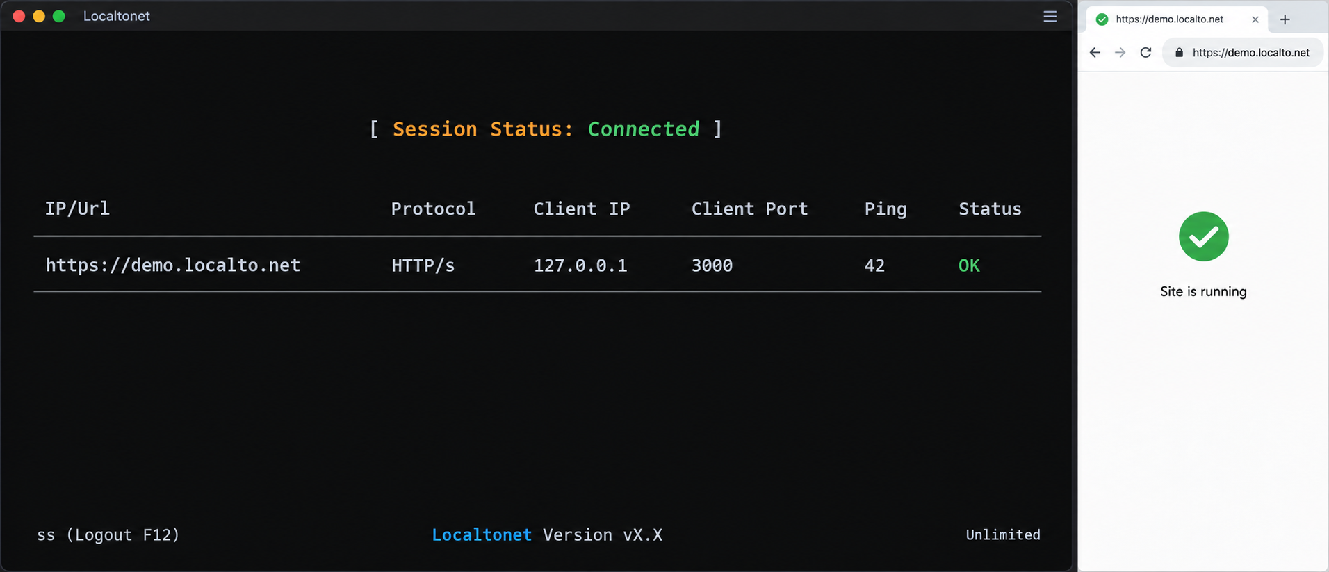 Connected Localtonet console mapping a public HTTPS URL to port 3000 on localhost.