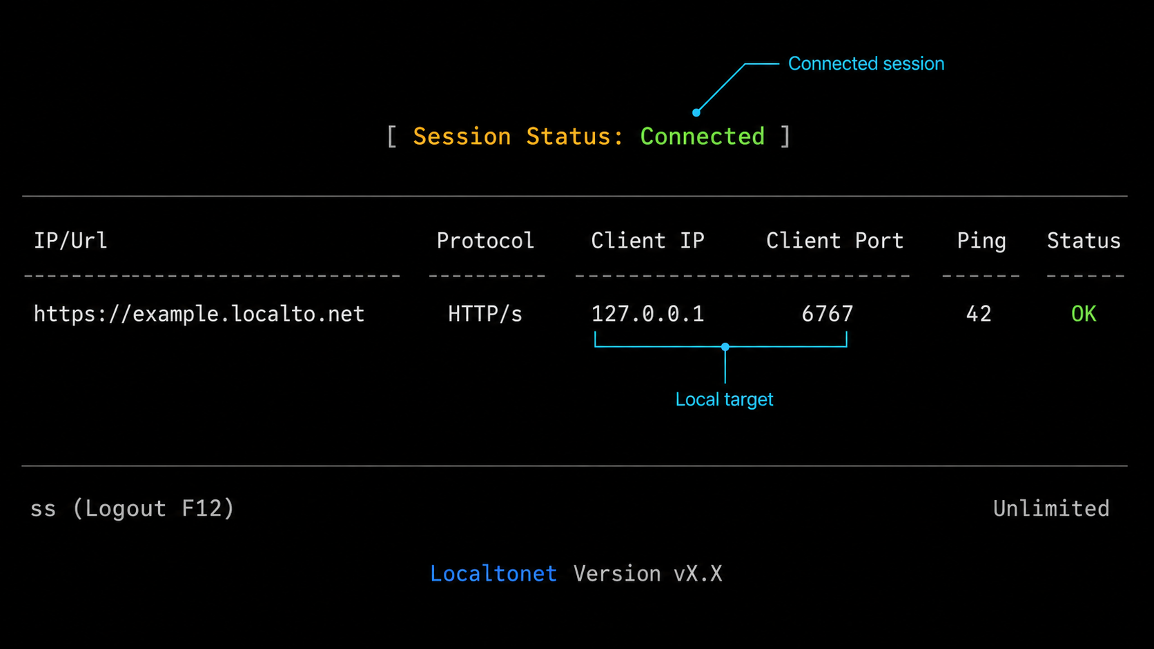 Localtonet console connected to an HTTP tunnel targeting 127.0.0.1 on port 6767.