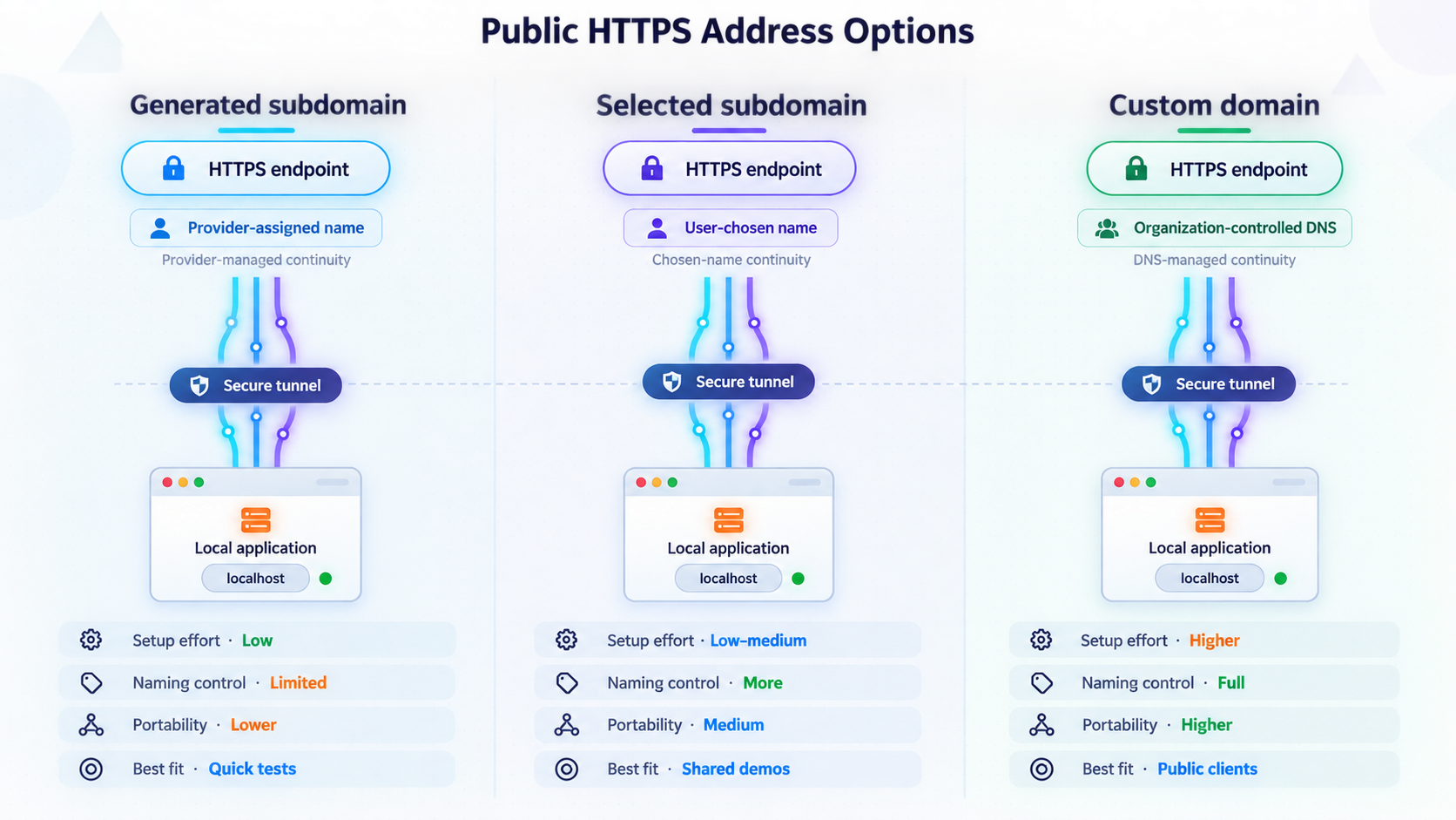 Comparison of generated, selected, and custom-domain public endpoint options.