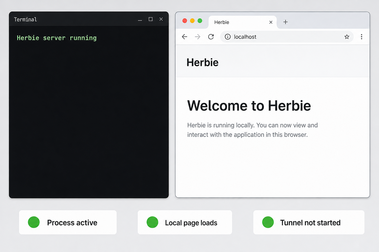 Herbie is running in a terminal and its interface loads through localhost.