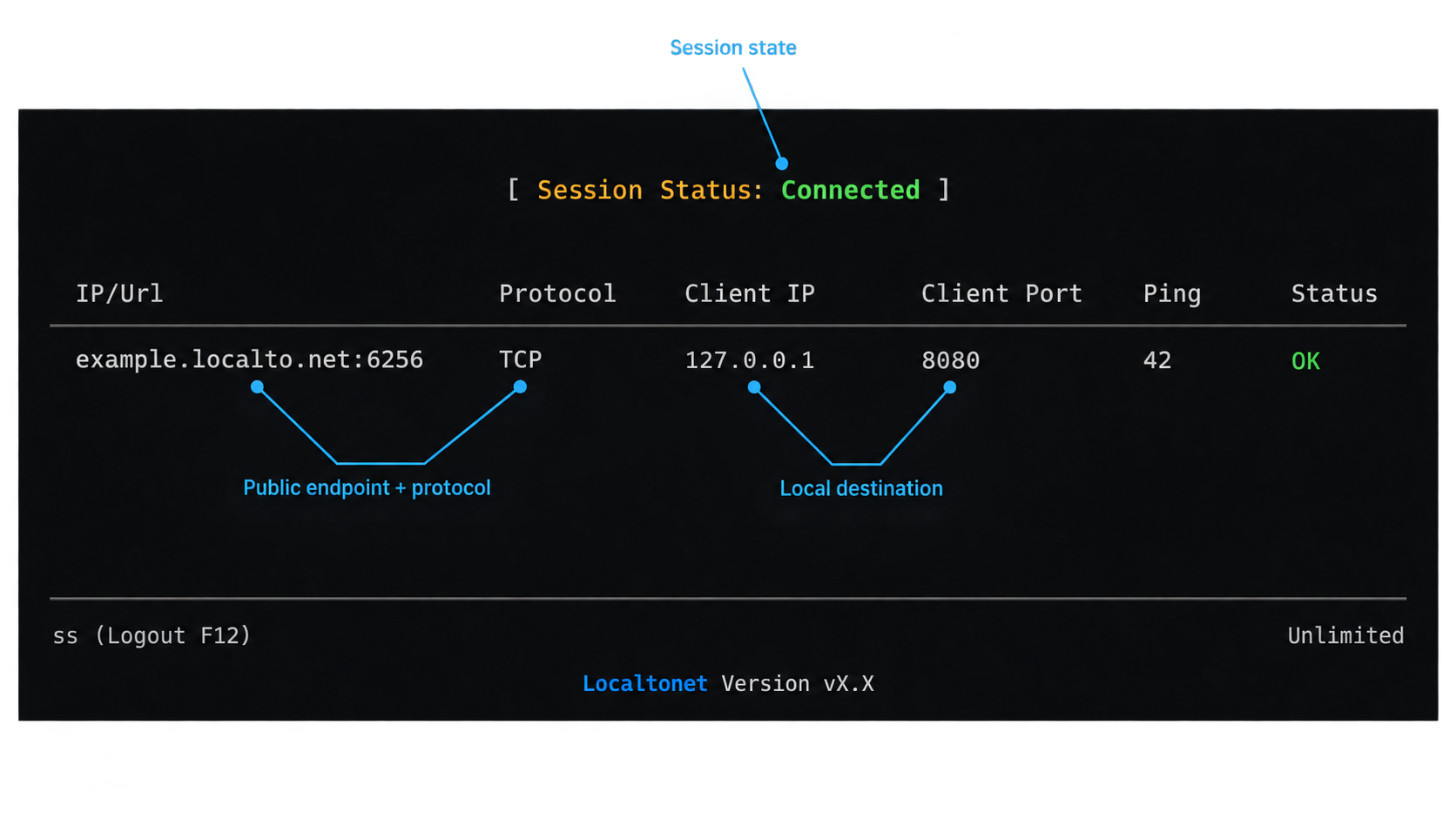 Localtonet console showing a connected TCP tunnel and its local destination.