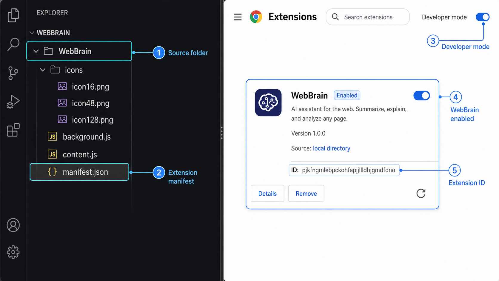 WebBrain source folder beside an enabled unpacked browser extension.
