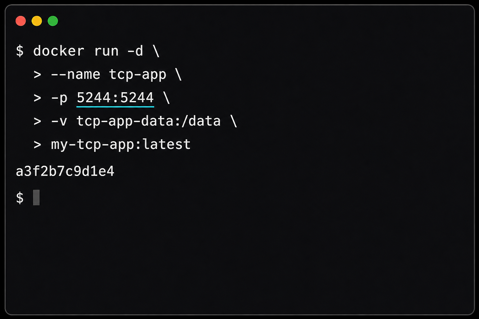 Terminal window showing a Docker run command that maps port 5244 and mounts a data volume