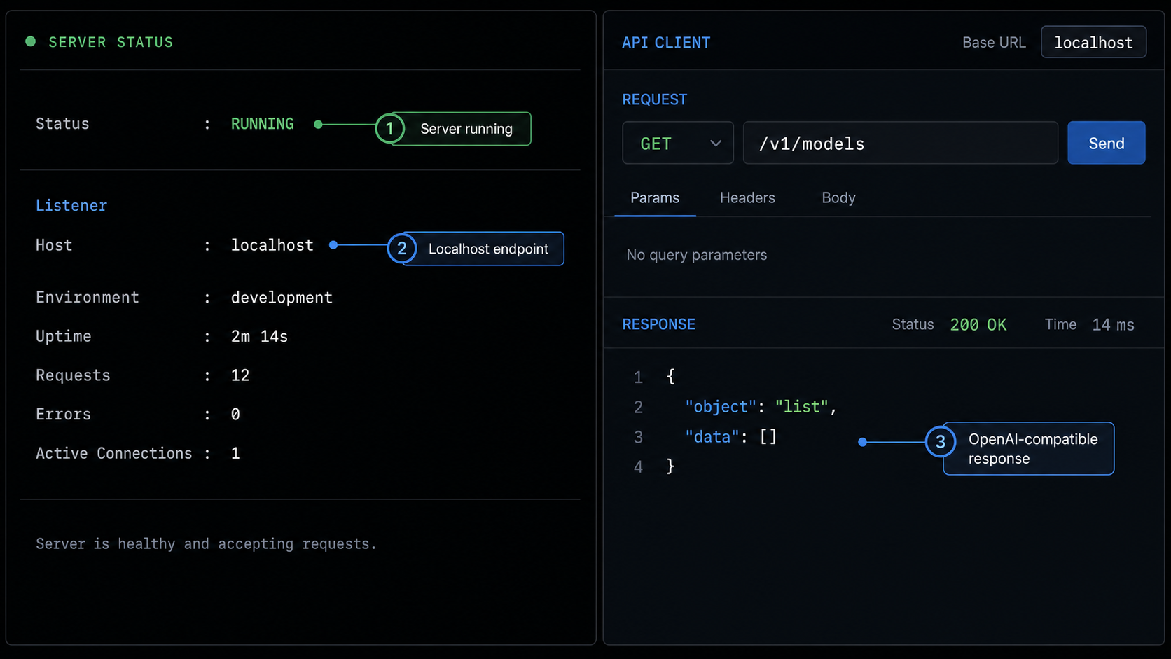 A local model server returns a successful response from the models endpoint.