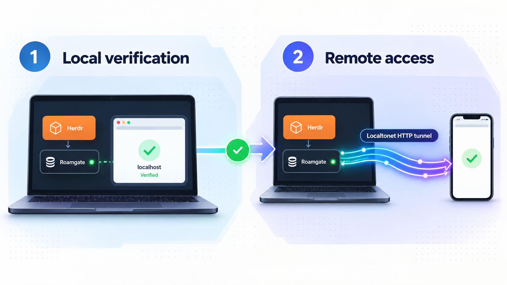 Roamgate is verified in a local browser before its interface is exposed through Localtonet.