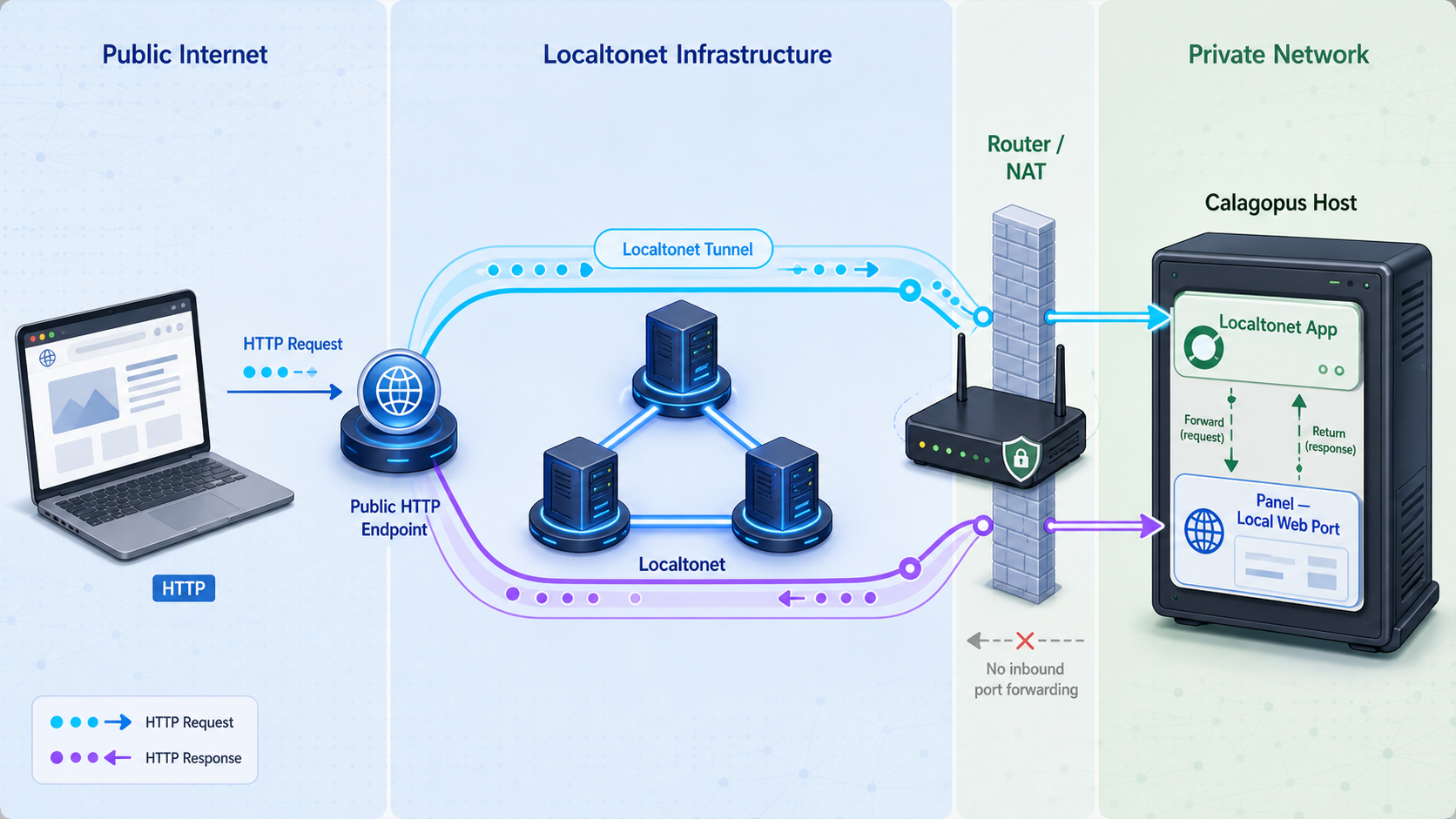 Remote HTTP traffic reaching Calagopus through a Localtonet tunnel.