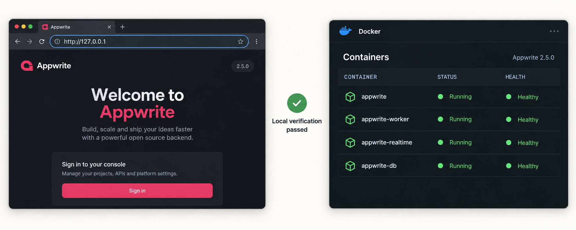 Local Appwrite console and healthy Docker services confirm the deployment works before publication.