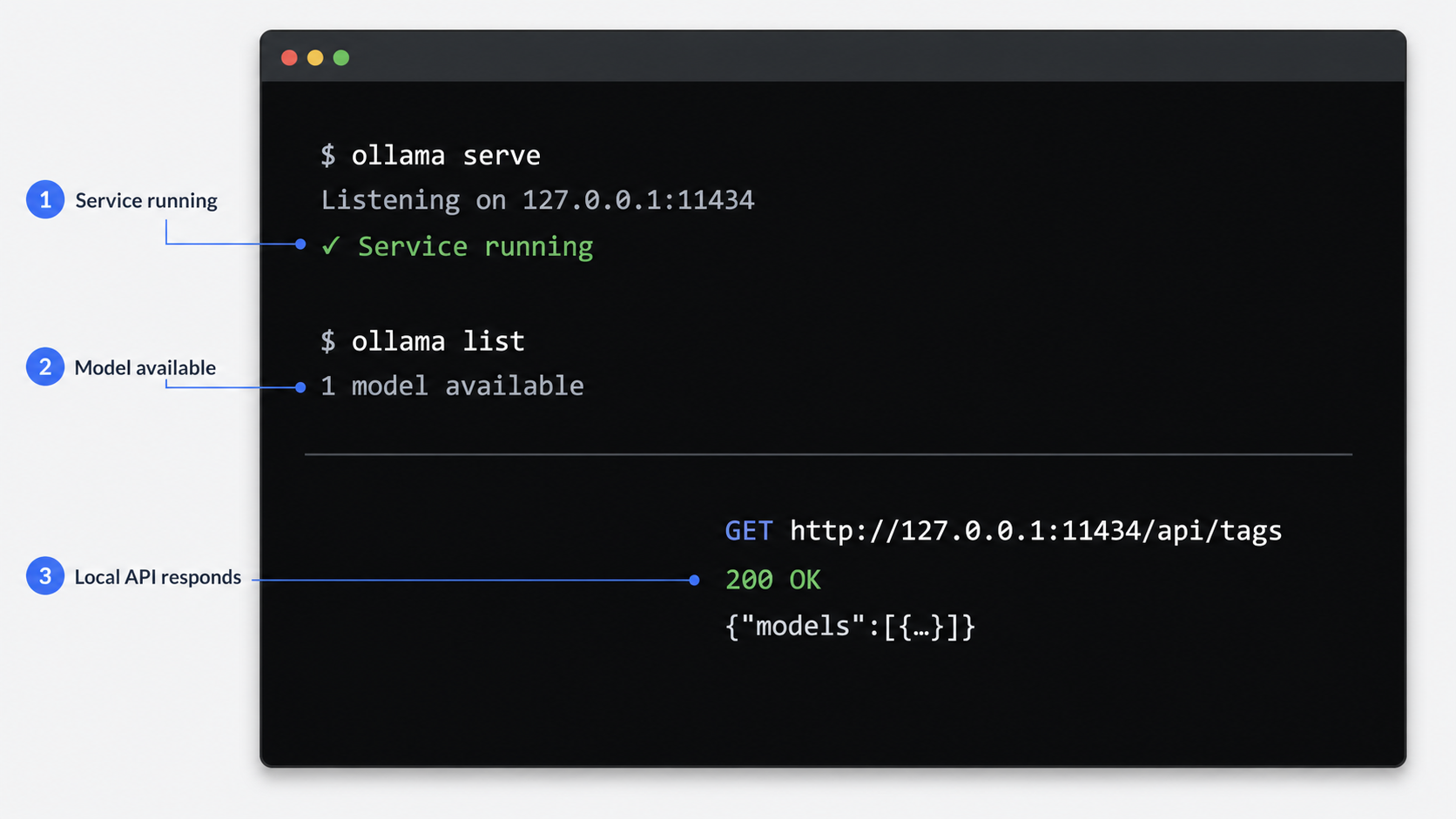 Terminal checks confirm that Ollama is running, a model is available, and the local API returns 200 OK.