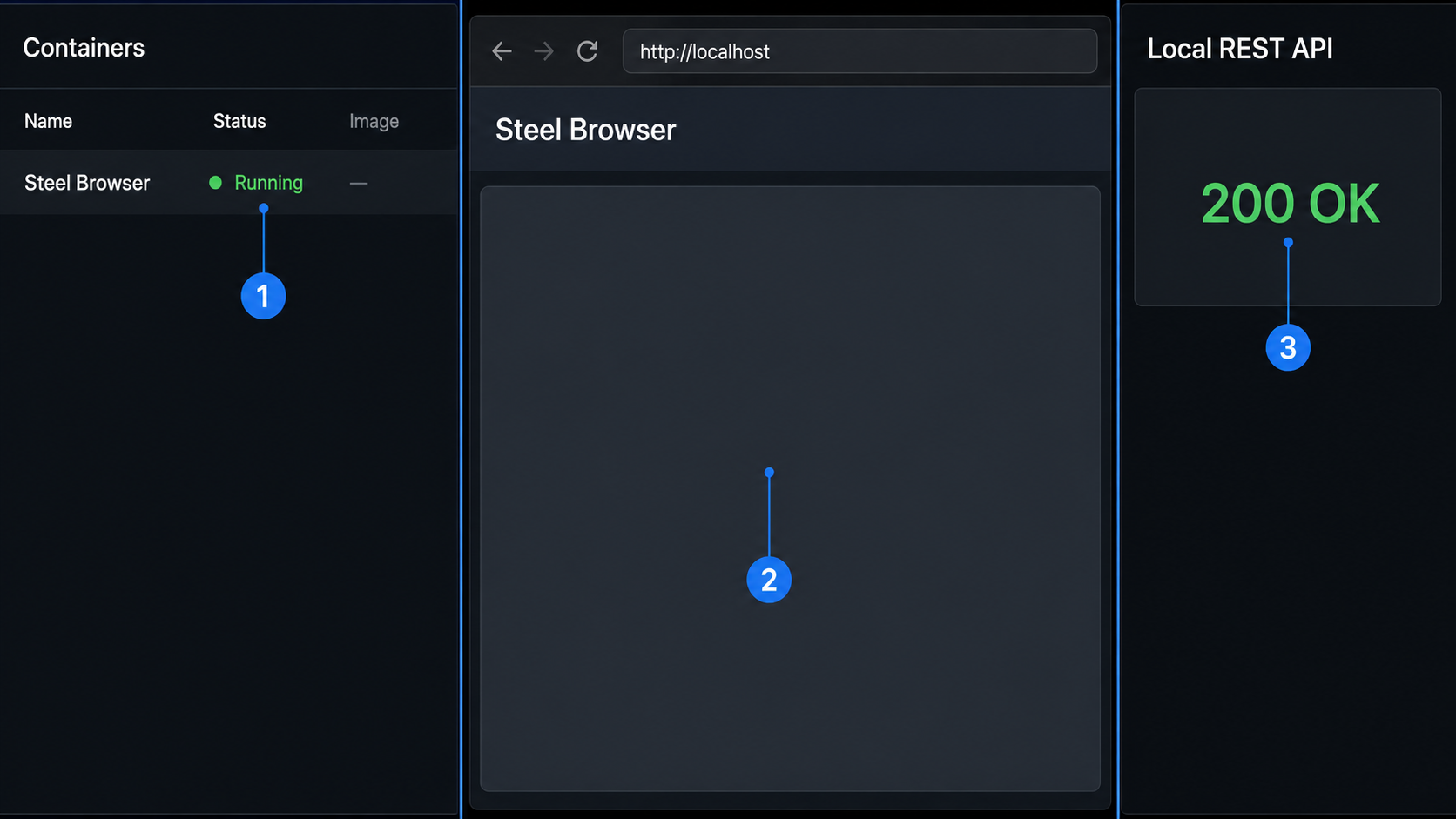 Local verification showing a running container, the Steel web UI, and a successful API response.