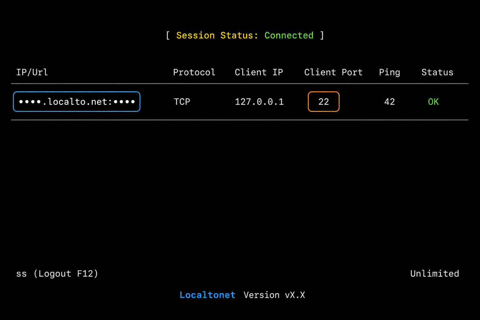 Connected Localtonet TCP tunnel forwarding a masked public endpoint to local SSH port 22.