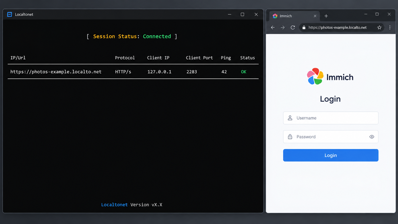 Localtonet console showing a connected HTTP tunnel to Immich on local port 2283.
