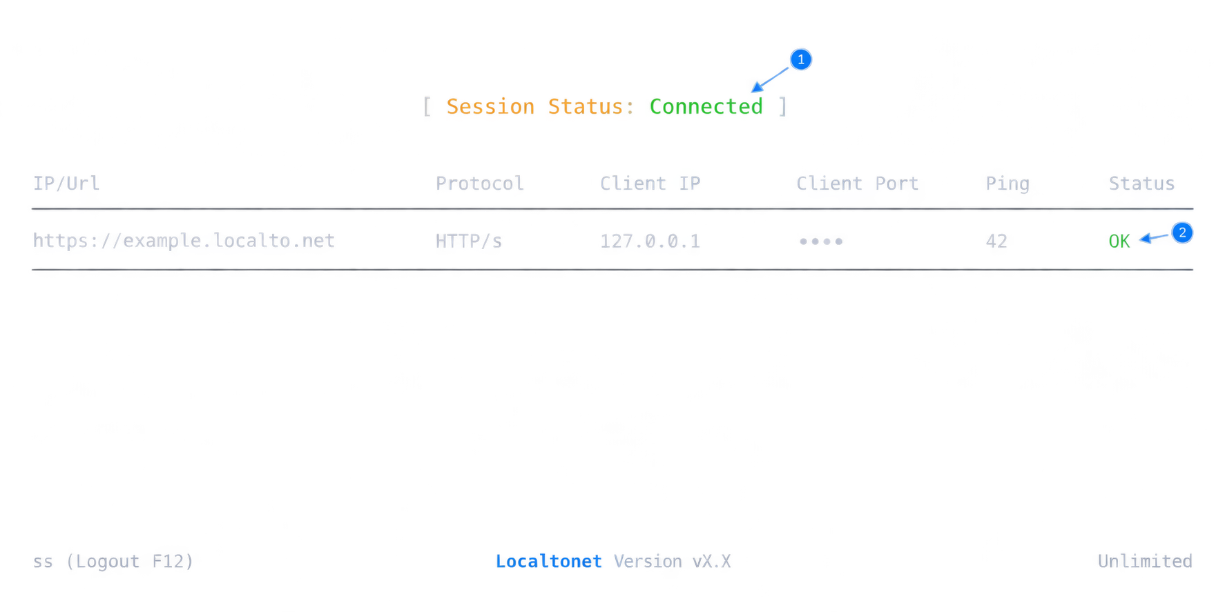 The Localtonet console shows a connected session and an HTTP tunnel with OK status.