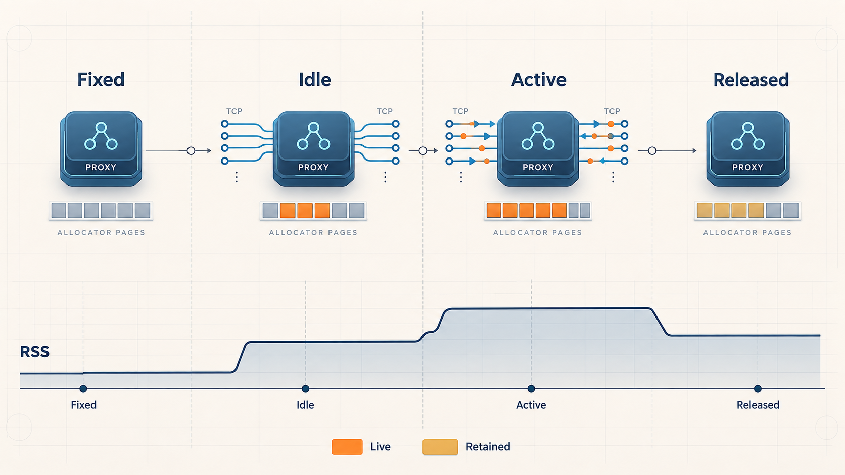 Four measurement stages compare fixed, idle, active, and post-release proxy memory.